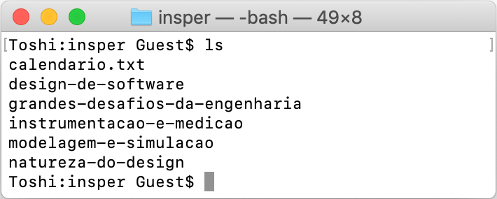 Resultado do comando <code>ls</code> na pasta <code>insper</code>