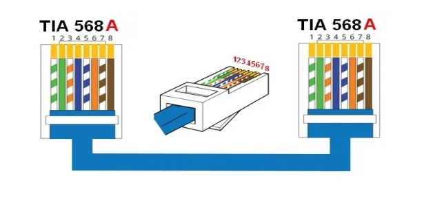 Topologia