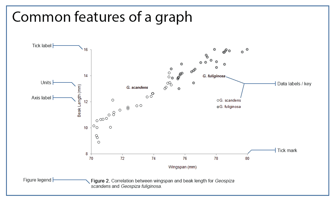 Elementos de um gráfico