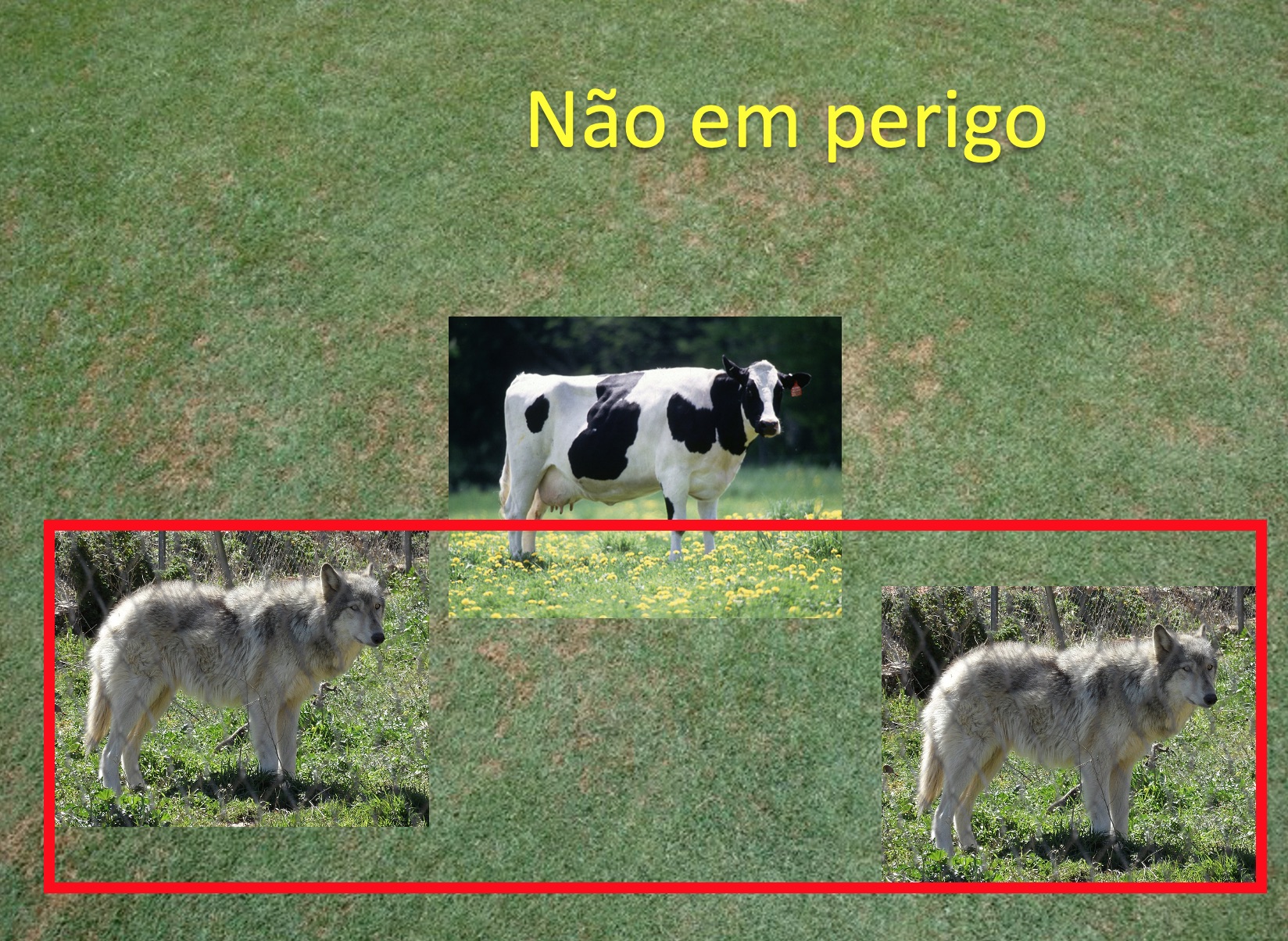 nao_perigo