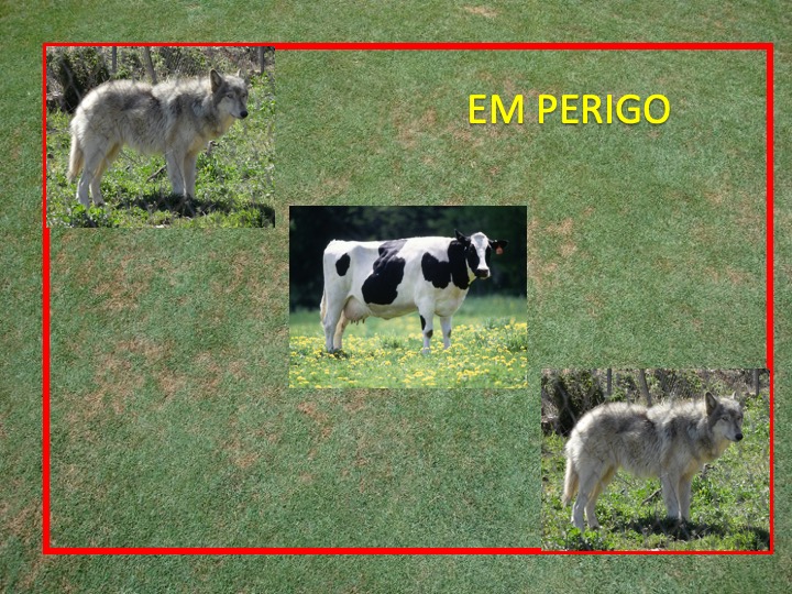 perigo